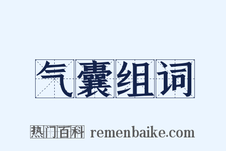 气囊组词是什么意思的图片